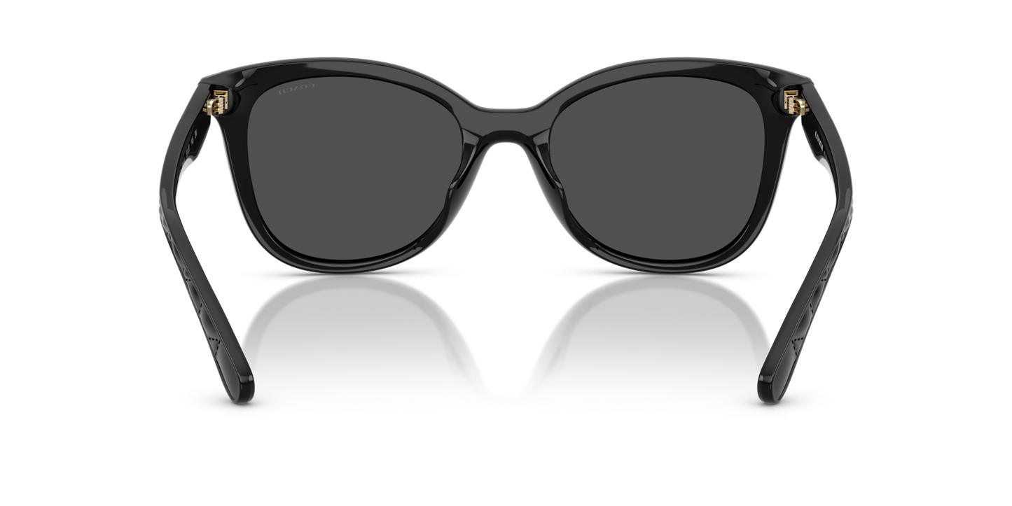 0HC8419U-Coach Sunwear-Black