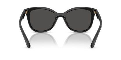 0HC8419U-Coach Sunwear-Black