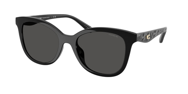 Coach Sunwear