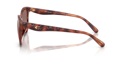 0HC8419U-Coach Sunwear-Caramel Tortoise