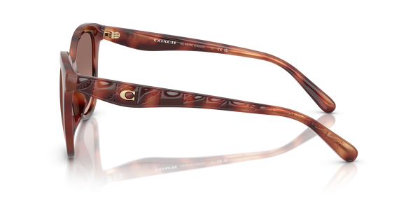 Coach Sunwear