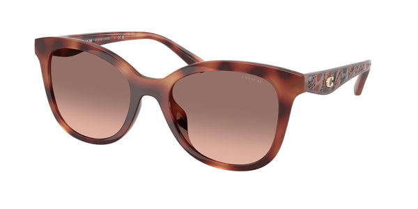 Coach Sunwear