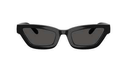 0HC8420U-Coach Sunwear-Black