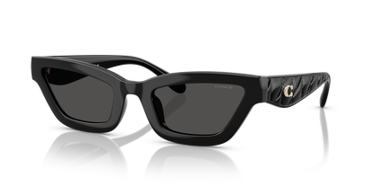 0HC8420U-Coach Sunwear-Black