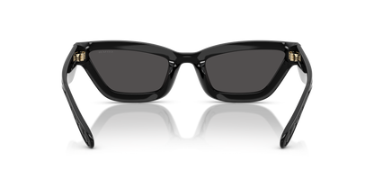 0HC8420U-Coach Sunwear-Black