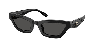 0HC8420U-Coach Sunwear-Black
