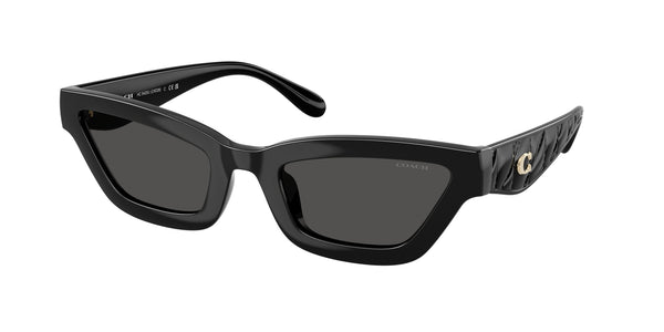 Coach Sunwear