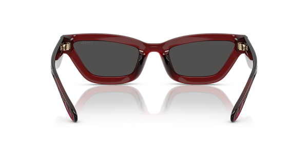 Coach Sunwear