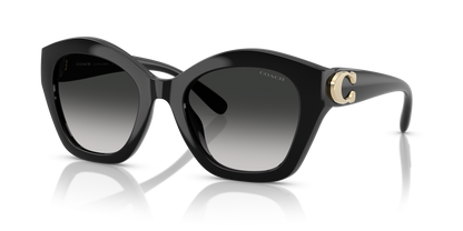 0HC8421U-Coach Sunwear-Black