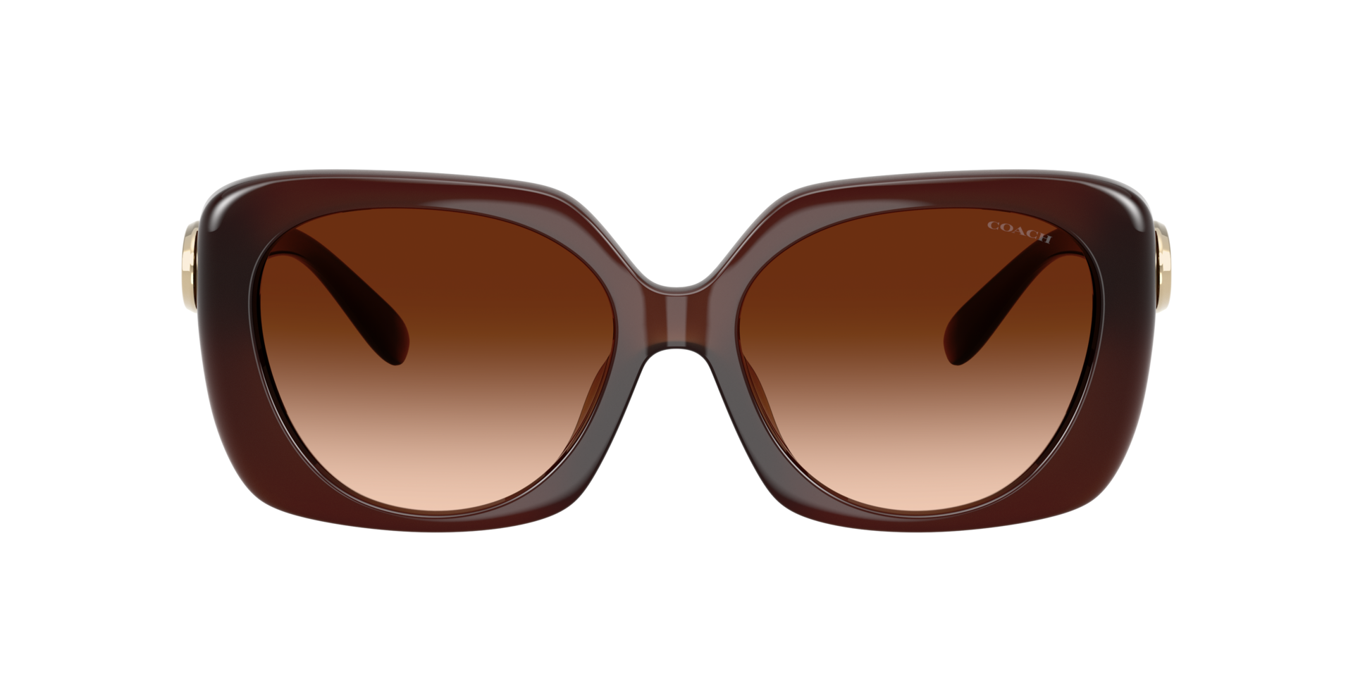 0HC8422U-Coach Sunwear-Milky Hazelnut