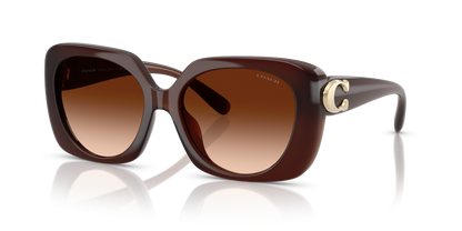 0HC8422U-Coach Sunwear-Milky Hazelnut