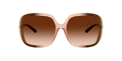 0HC8423U-Coach Sunwear-Brown Gradient