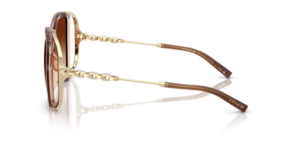 0HC8423U-Coach Sunwear-Brown Gradient