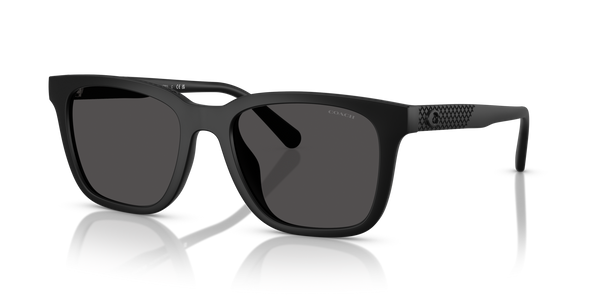 Coach Sunwear