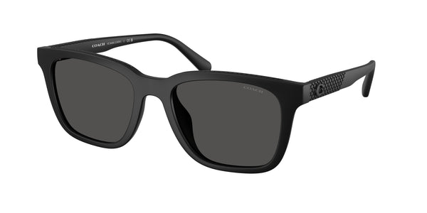 Coach Sunwear