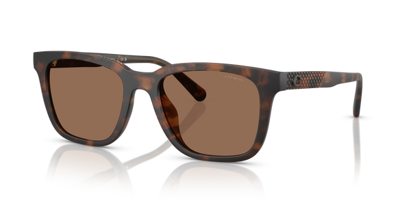 Coach Sunwear