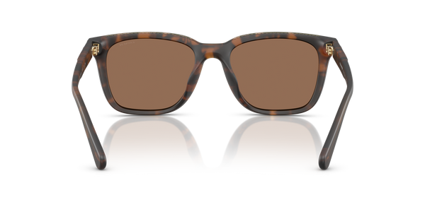 Coach Sunwear