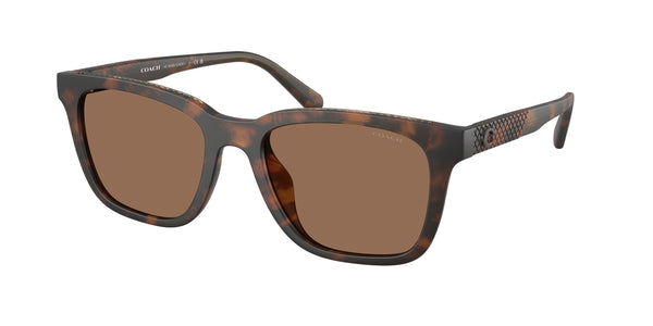 Coach Sunwear