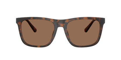 0HC8427U-Coach Sunwear-Matte Dark Tortoise