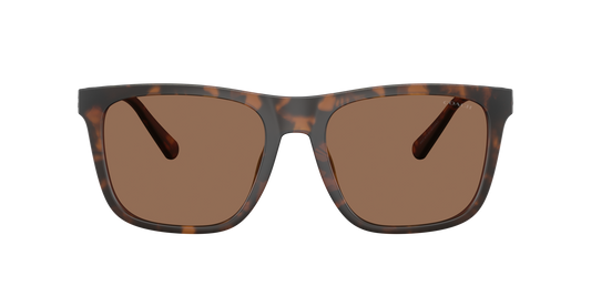 Matte Dark Tortoise