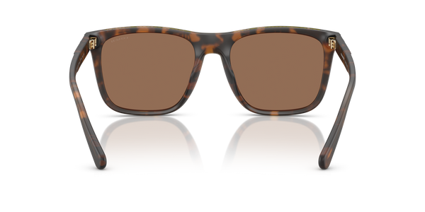 Coach Sunwear