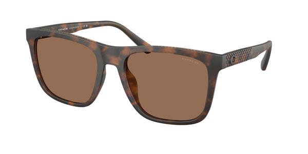 Coach Sunwear