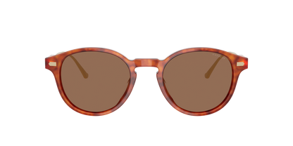0HC8428U-Coach Sunwear-Caramel Tortoise