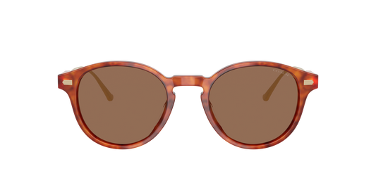 Caramel Tortoise