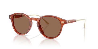 0HC8428U-Coach Sunwear-Caramel Tortoise