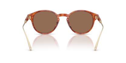0HC8428U-Coach Sunwear-Caramel Tortoise