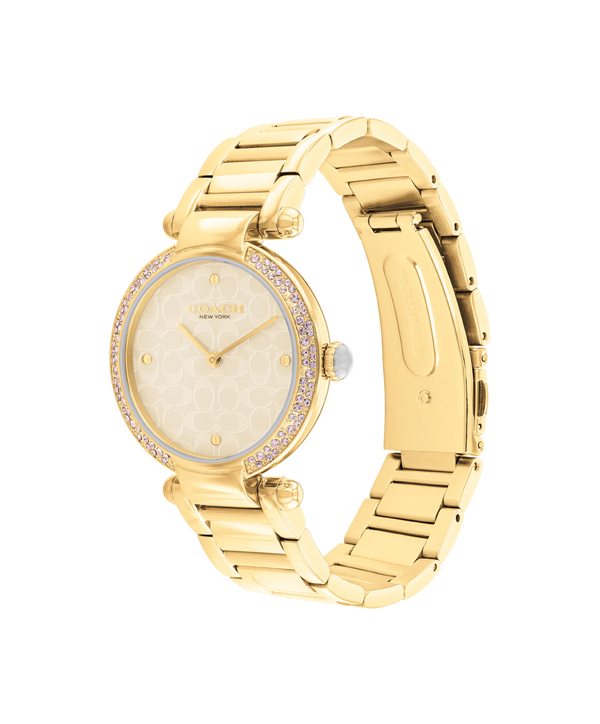 Cary Watch, 34Mm