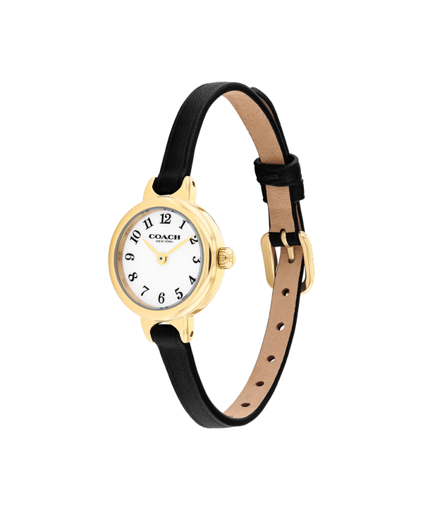 Iris Watch, 22mm