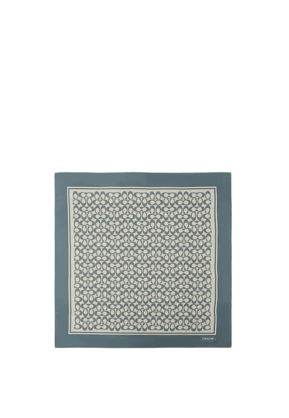 29C2755-Textured Signature C Printed Silk Square-Light Denim