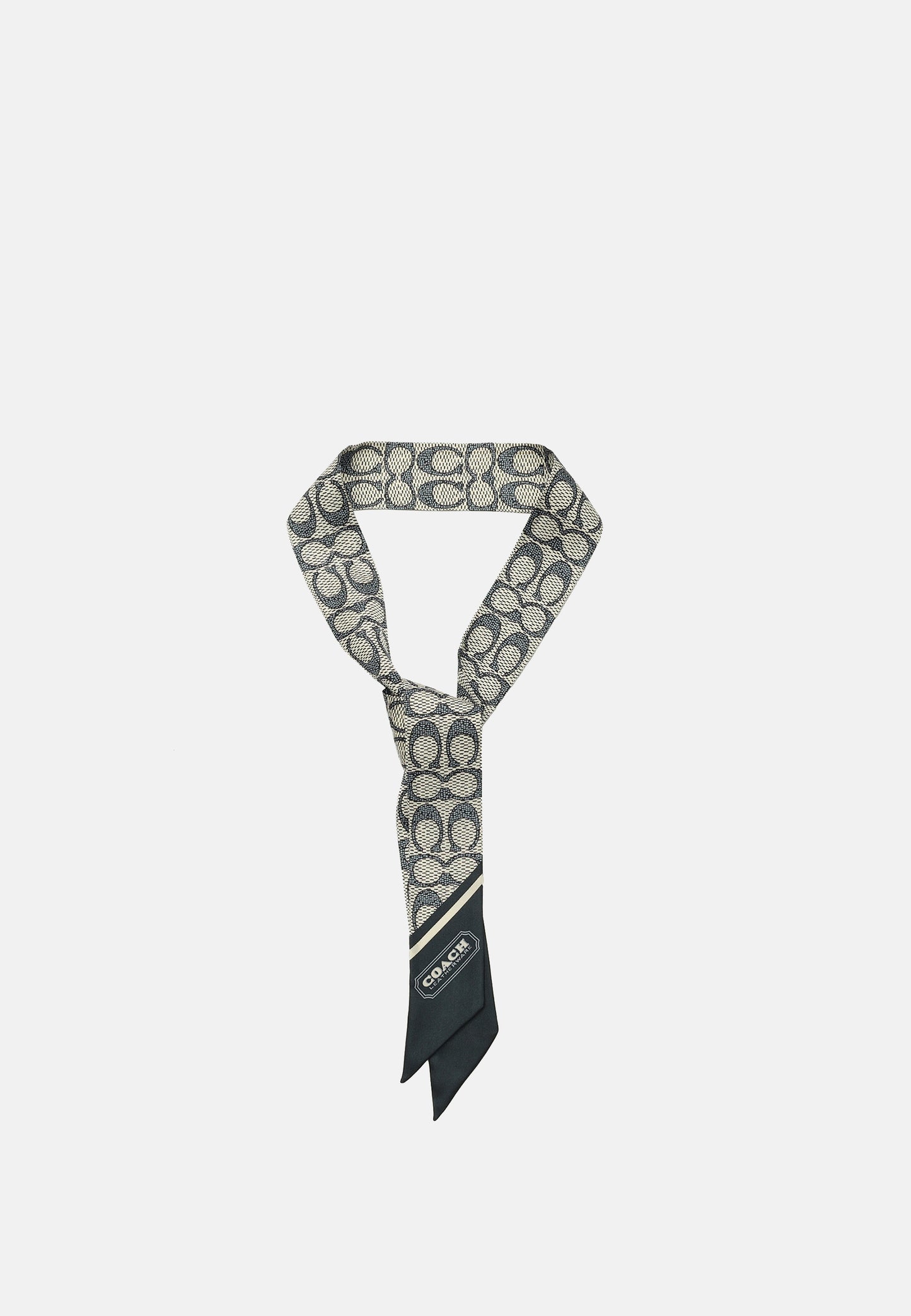 29C2783-Vintage Signature C Printed Silk Sinny