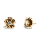 37386996GLD-Mini Tea Rose Stud Earrings-Shiny Gold