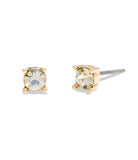 37386996GLD-Mini Tea Rose Stud Earrings-Shiny Gold