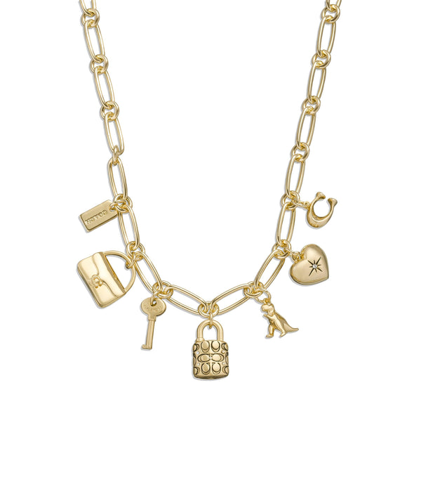 Iconic Charm Bib Necklace