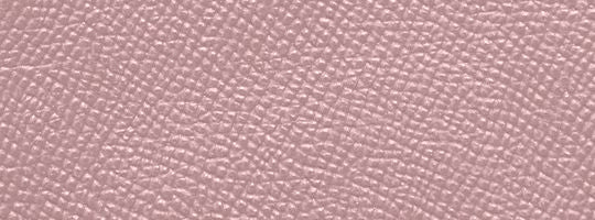 V5/Carnation