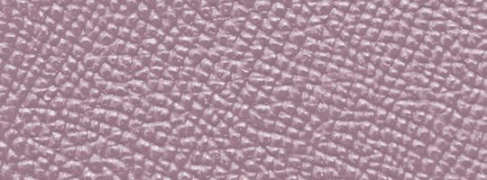 V5/Ice Purple