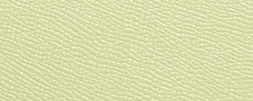 Sv/Khaki/Pale Lime