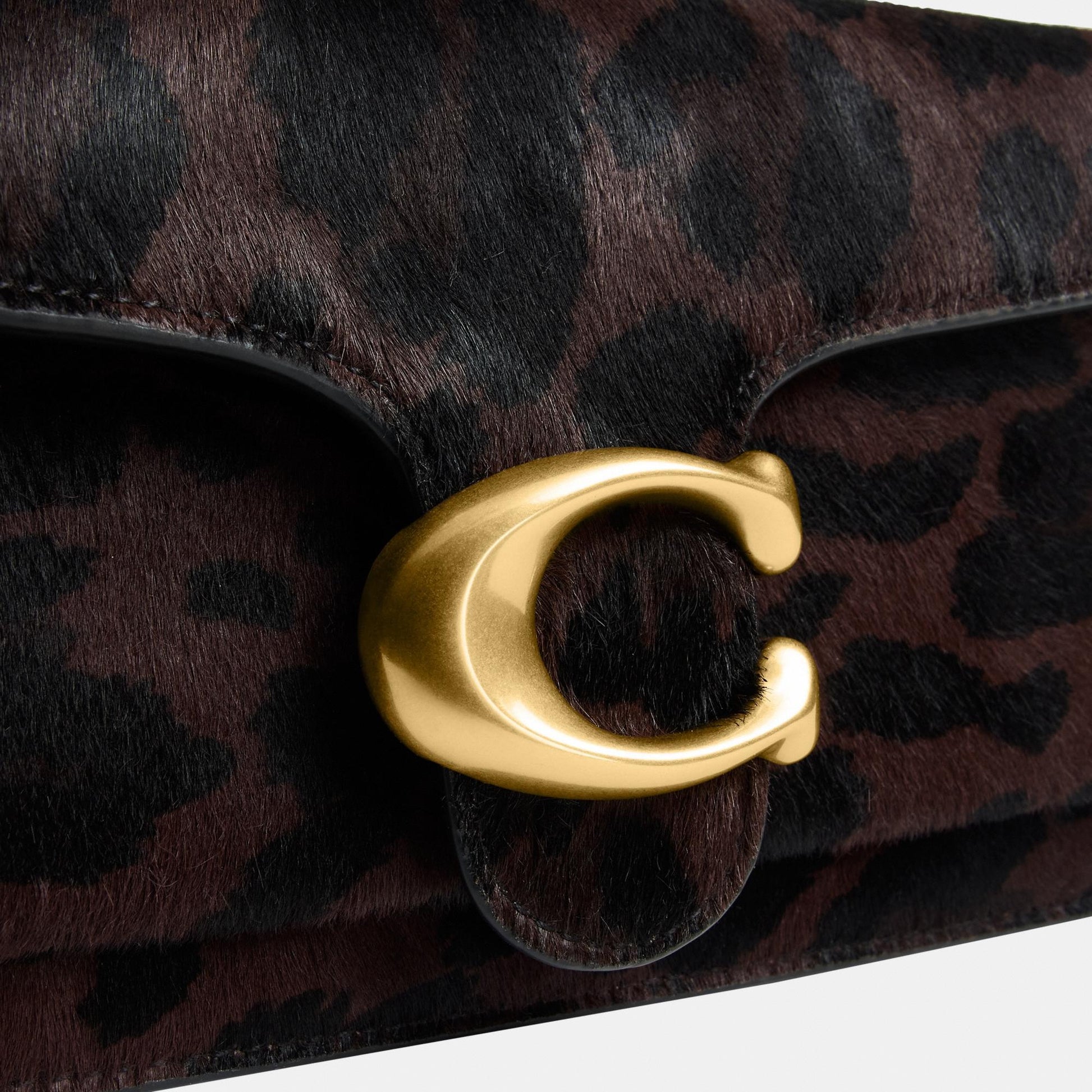 CCC03-Hrclf Tabby 26-B4/Dark Leopard