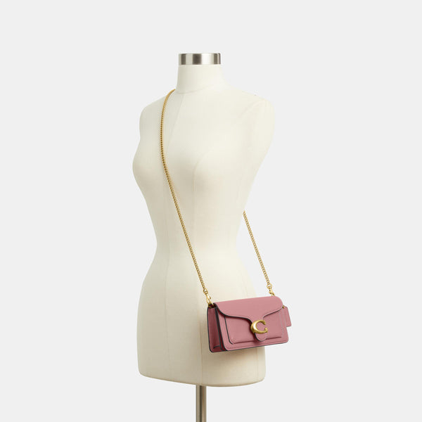 Tabby Chain Crossbody Bag 19