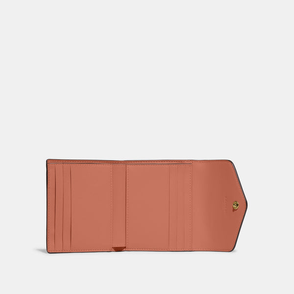 Colorblock Coated Canvas Signature Wyn Small Wallet