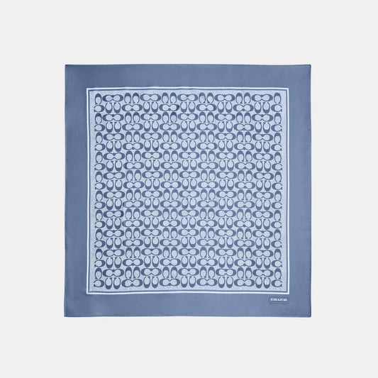Light Denim