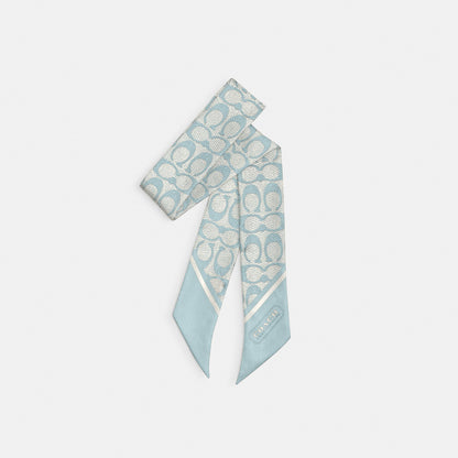 29C2783-Vintage Signature C Printed Silk Sinny-Light Blue