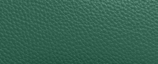 B4/Bright Green Multi