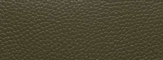 V5/Army Green Multi