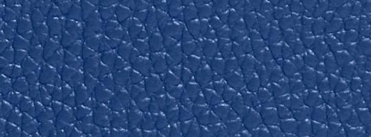 Blue Fin/Black