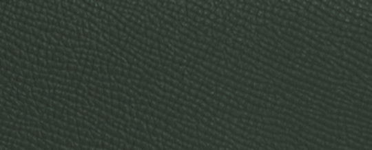 B4/Amazon Green