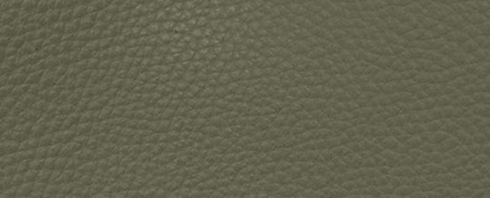 V5/Army Green Multi